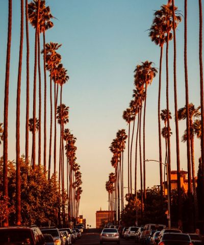 Le 5 regole stradali più strane al mondo: dal surreale al geniale