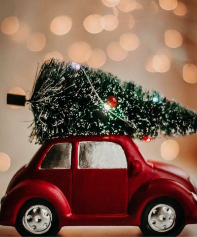 Albero di Natale sulla macchina: come trasportarlo in sicurezza?