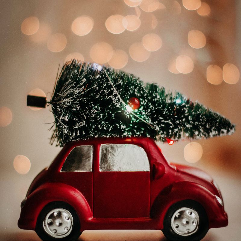 Albero di Natale sulla macchina: come trasportarlo in sicurezza?